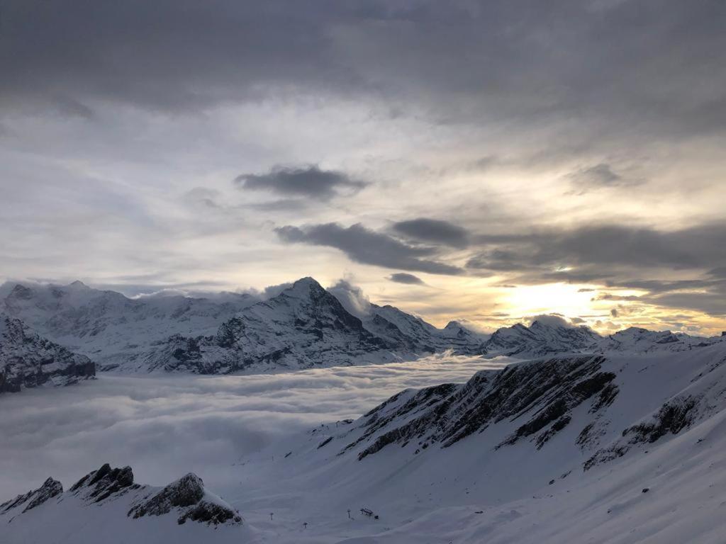 Chalet Caramelle Grindelwald Kültér fotó
