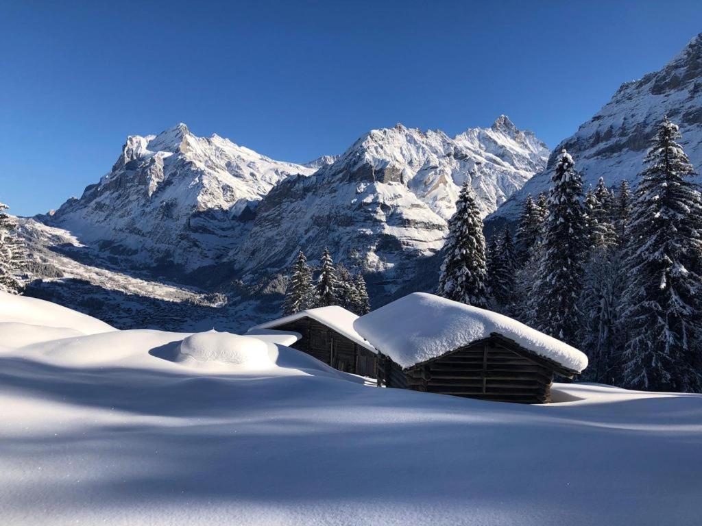 Chalet Caramelle Grindelwald Kültér fotó