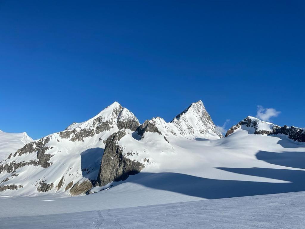 Chalet Caramelle Grindelwald Kültér fotó